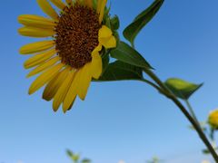 -贡湖湾湿地公园