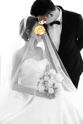 -CD视觉婚纱摄影