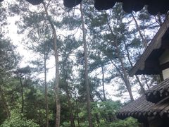 -梦姑塘文化公园