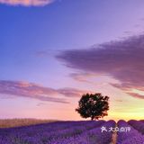 春暖花开祈福疫情退散,已经安全宅了月余,想暴饮暴食自