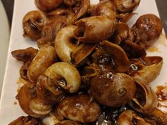 酱爆小海螺-海岛渔村大酒店(云霄路店)