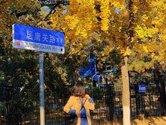 -八大关景区
