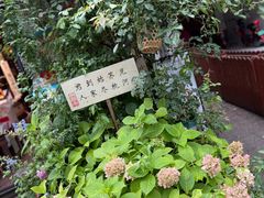 -吴作人艺术馆