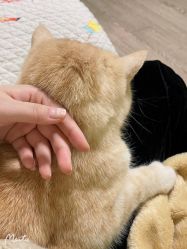 -齐伽生活馆·瑜伽·普拉提·阿育吠陀