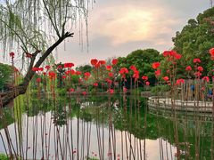 -无锡蠡湖国家湿地公园-蠡园
