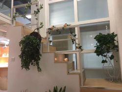 -巴黎婚纱摄影工作室