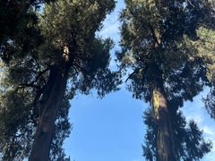 -武侯墓风景区