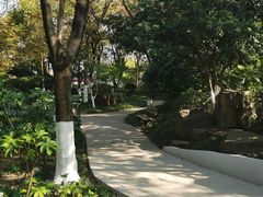 -青枫公园