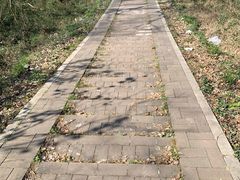 -青龙山国家森林公园