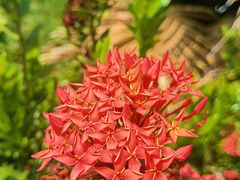 -金鸡岭桥头公园