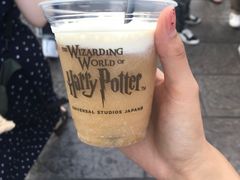 -哈利波特魔法世界