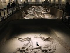 -洛阳周王城天子驾六博物馆