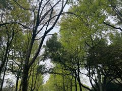 -杭州植物园