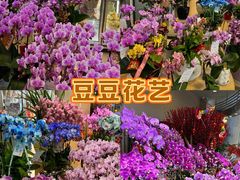 -豆豆花艺(新光天地店)