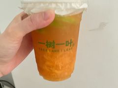 -一树一叶·福建茶档(石鼓路店)