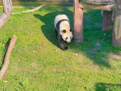 -沈阳森林动物园