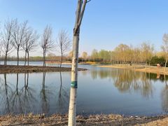 -东郊湿地公园