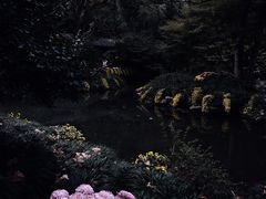-杭州植物园
