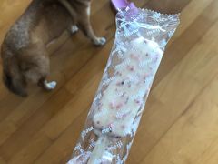 -新苗超市(科英布拉街店)