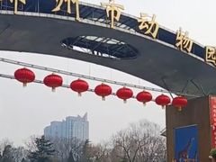 -郑州市动物园
