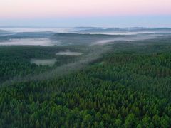 -塞罕坝国家级自然保护区