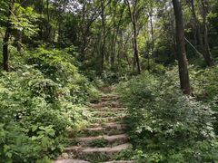 -终南山国家森林公园