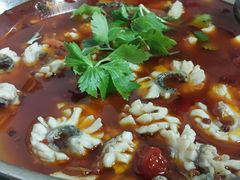 -重庆乌鱼庄·龙滋鲜(青羊大道店)