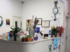 -中农国际动物医院24小时·猫科·骨科·急重症中心