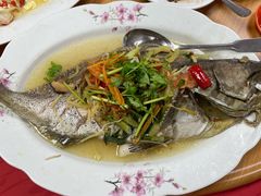 清蒸石斑鱼-金龙酒家