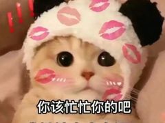 -梁溪河畔·吉府花园(南长街南下塘店)