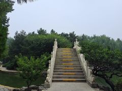 -团结湖公园