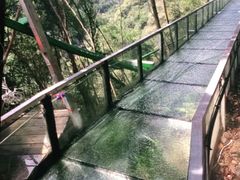 -龙湾潭国家森林公园