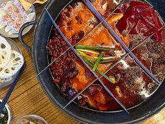 -五里关火锅(牛市口店)