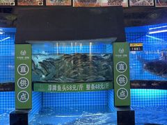 -千岛湖小鱼儿·淳安匠心农家菜