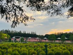 -嘉北郊野公园