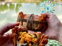 -水岸居湖景农家乐·阳澄湖大闸蟹