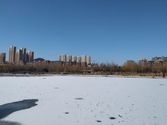 -前关湿地公园