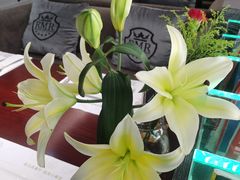 温室百合花-RELLMAN莱尔曼牛扒(长安店)