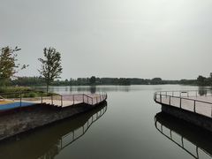-东郊湿地公园