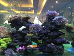 -超级厨房概念餐厅(奥园广场店)