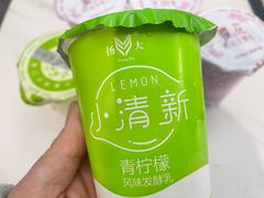 青柠檬酸奶-扬大康源乳业鲜奶吧(大学北路店)