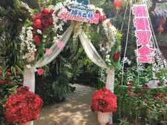 -绿光森林餐厅