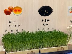 -牛New寿喜烧(青浦店)