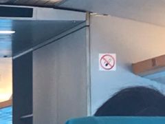 -龙阳路磁悬浮列车总站-停车场