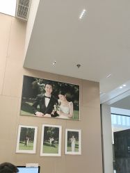 -金夫人婚纱摄影(总店)