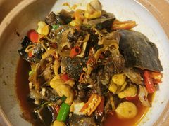 -印象鲵宴·张家界地标美食名片(溪布街店)