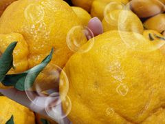 -星轶IMAX影城(桐乡吾悦广场旗舰店)