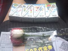 -枫花园汽车电影院(朝阳公园店)