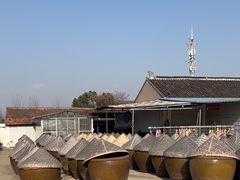 -苏州市吴中区光福窑上花果蜜饯厂