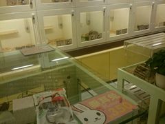 -龙猫仔乐园(惠福东路店)